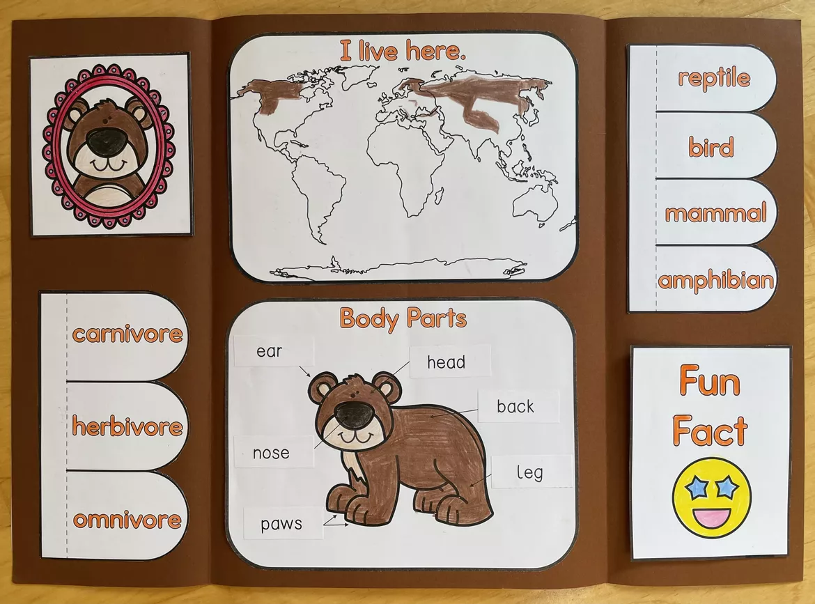 Bild in der Beschreibung des Unterrichtsmaterials Zoo Animals A-Z - Bear Lapbook von Camilla