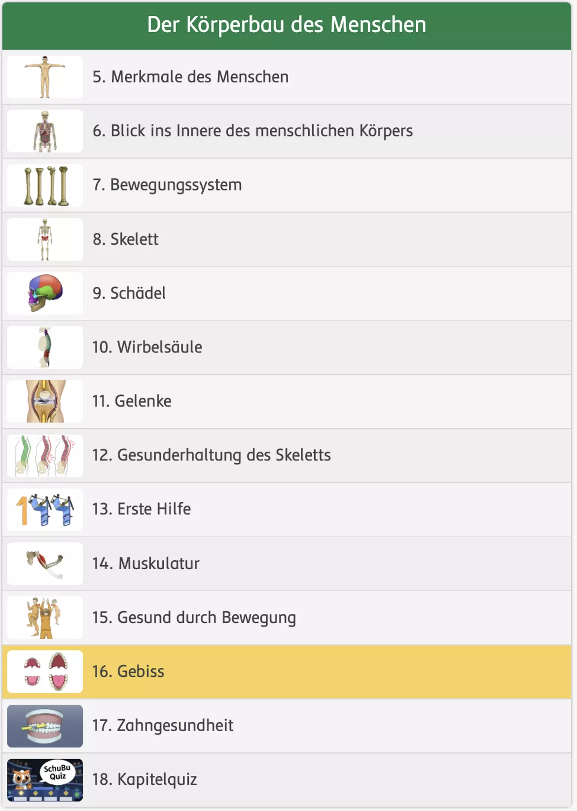 Bild in der Beschreibung des Unterrichtsmaterials Das Gebiss (interaktiv) von SchuBu.digitaleSchulbücher #1