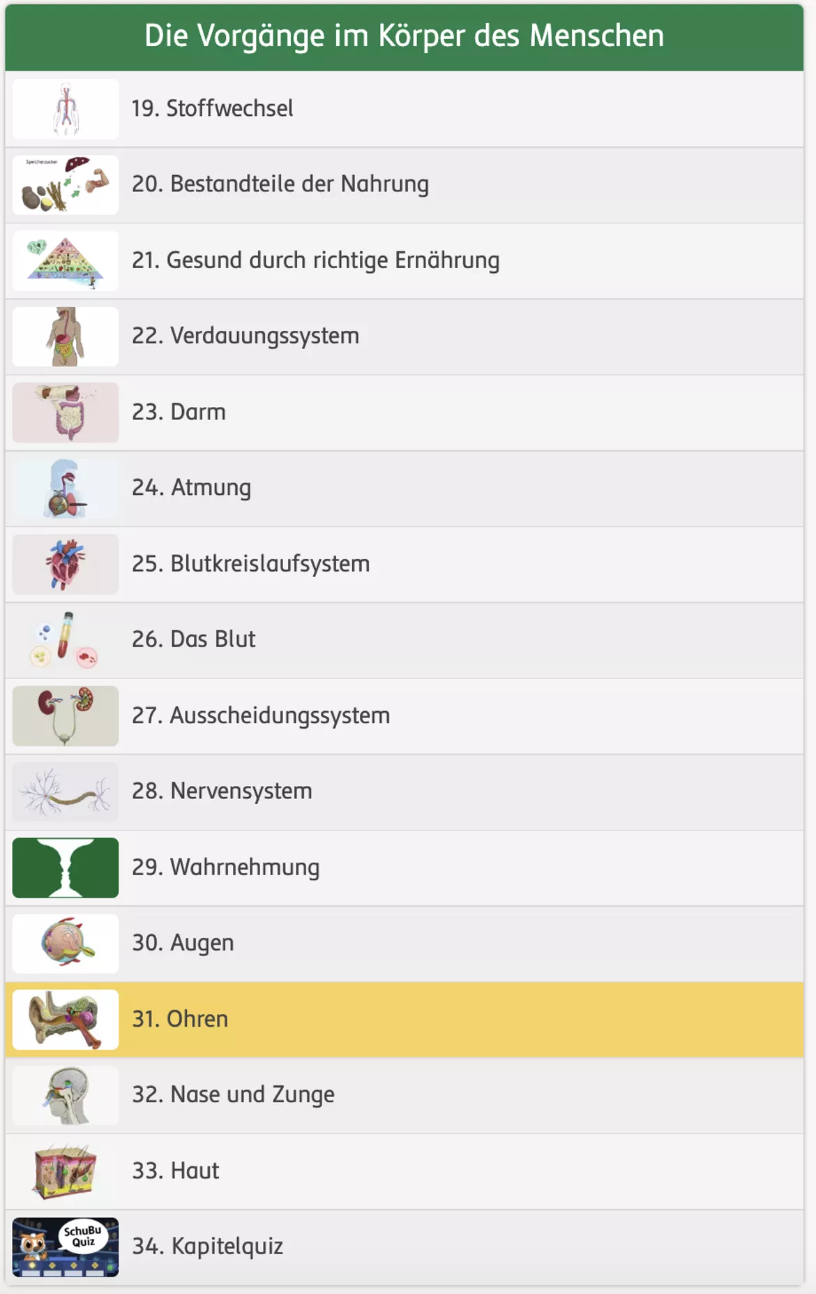 Bild in der Beschreibung des Unterrichtsmaterials Die Ohren (interaktiv) von SchuBu.digitaleSchulbücher #1
