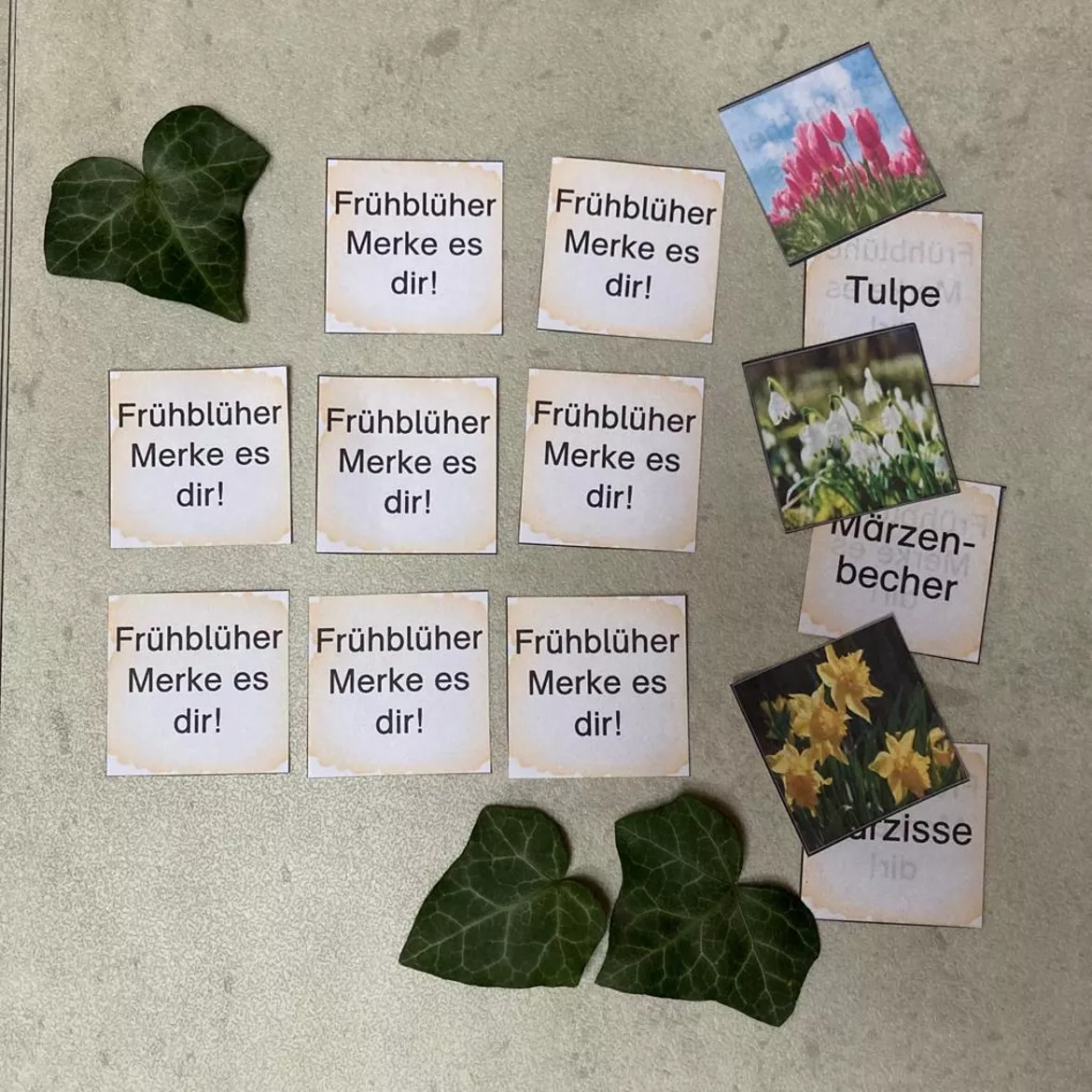 Bild in der Beschreibung des Unterrichtsmaterials Merke es dir! Frühblüher Freiarbeit Spiel von Schlaufuechsin #1