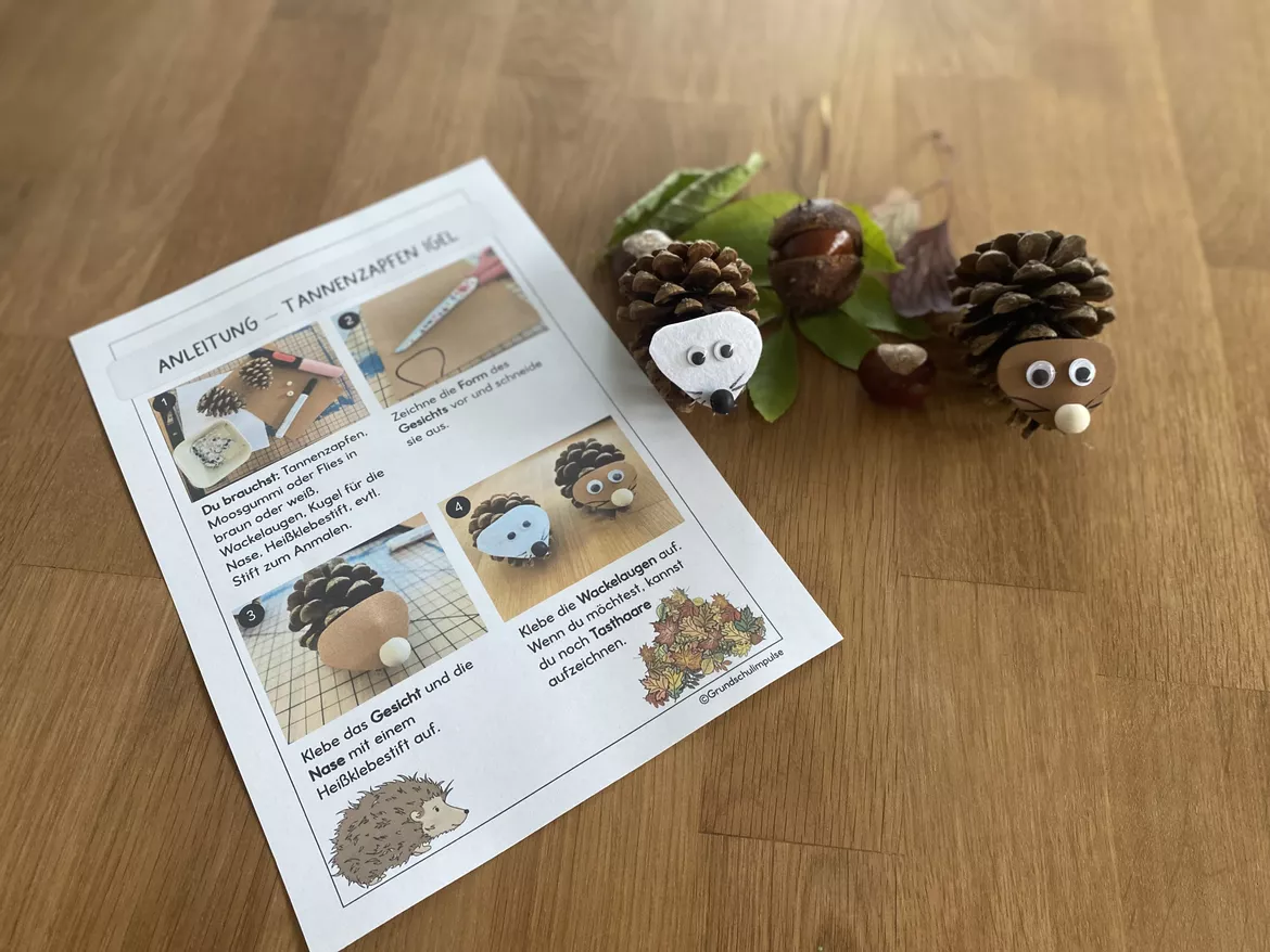 Bild in der Beschreibung des Unterrichtsmaterials Der Igel: Unterrichtsreihe (Klasse 1+2) von Grundschulimpulse #3