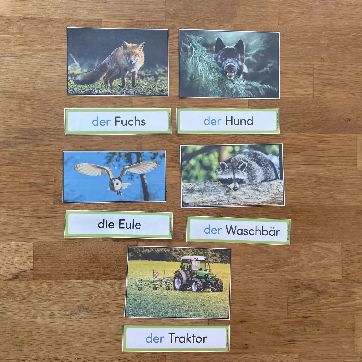 Bild in der Beschreibung des Unterrichtsmaterials Der Igel: Unterrichtsreihe (Klasse 1+2) von Grundschulimpulse #4