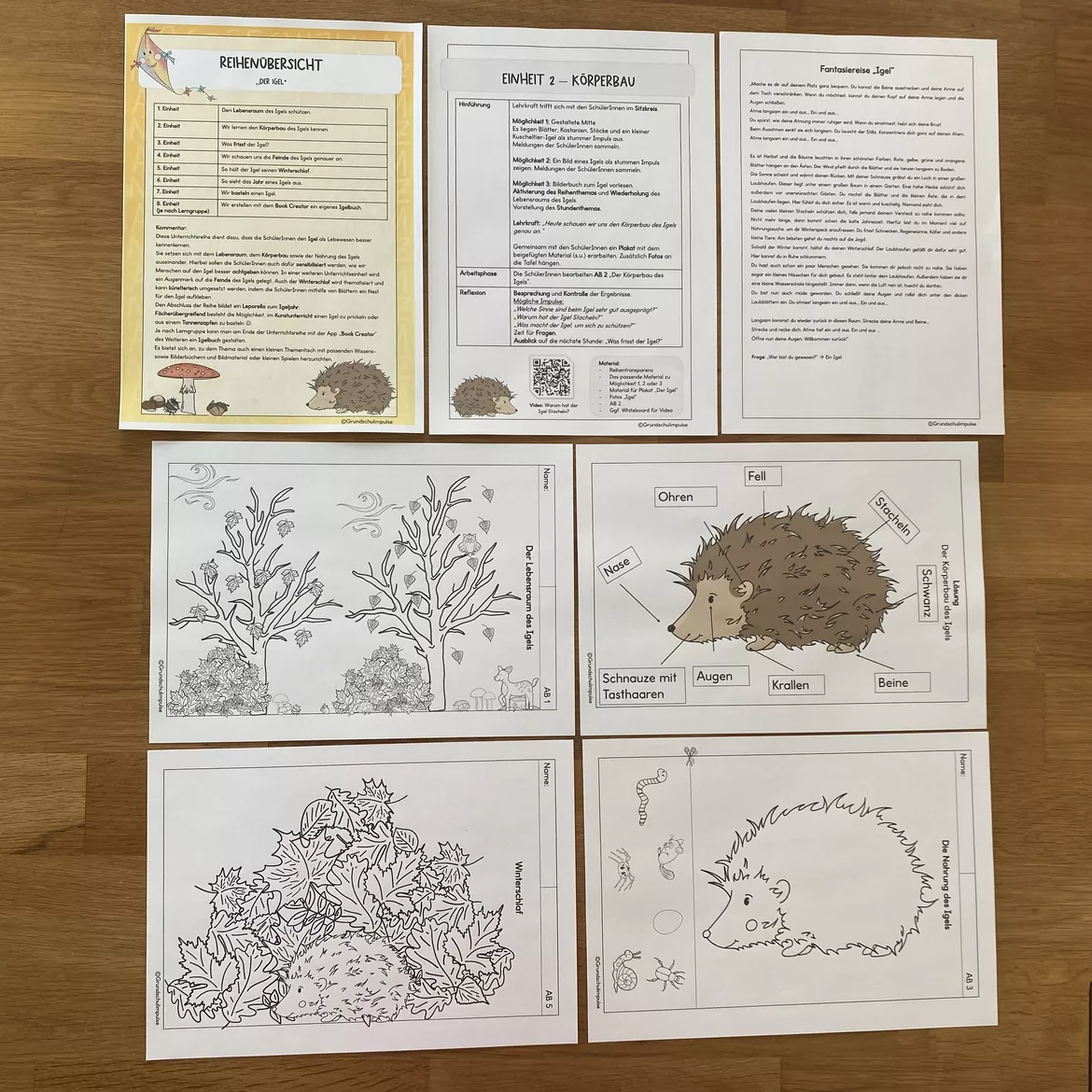 Bild in der Beschreibung des Unterrichtsmaterials Der Igel: Unterrichtsreihe (Klasse 1+2) von Grundschulimpulse #5