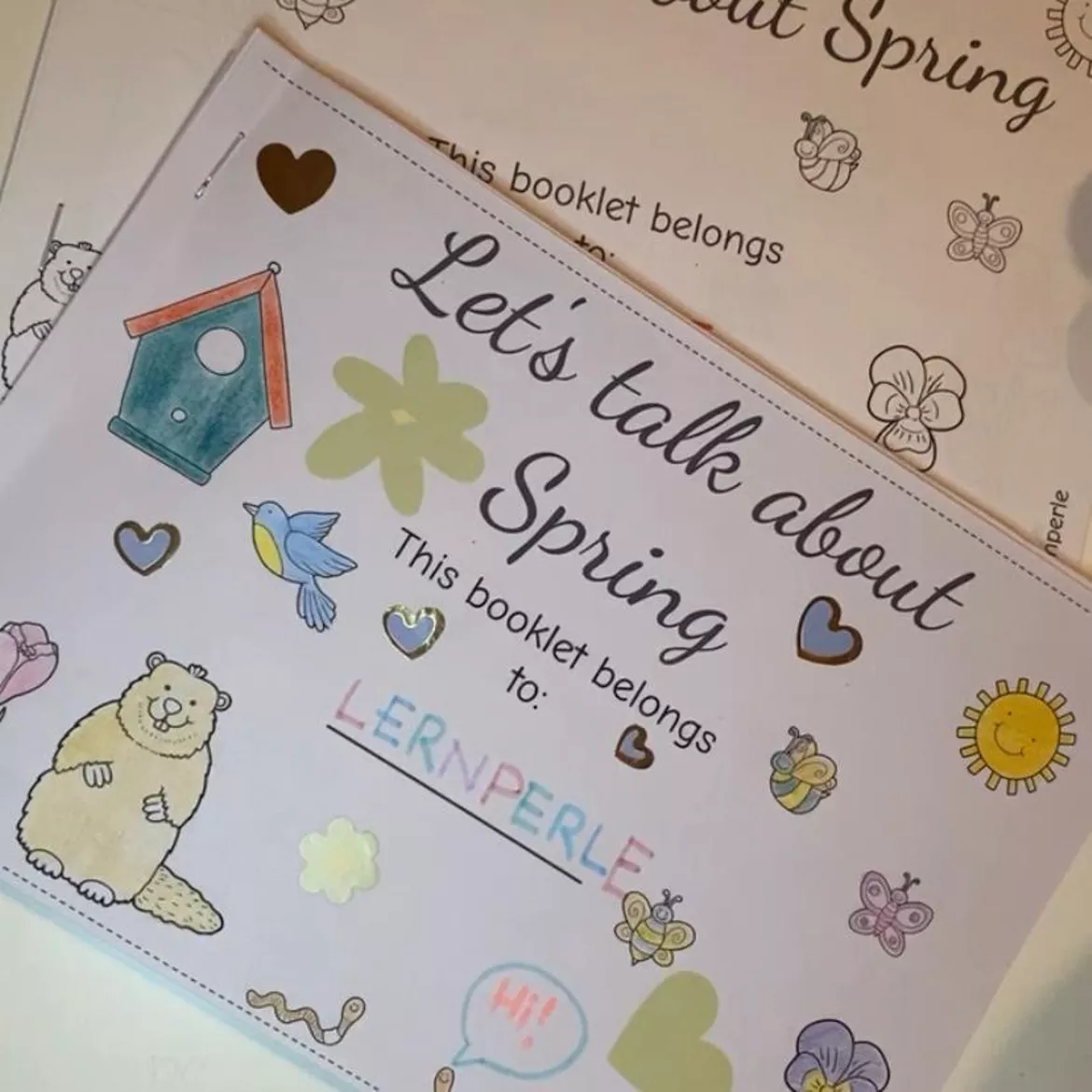 Bild in der Beschreibung des Unterrichtsmaterials Englisch Activity Booklet: Let´s talk about Spring & Spring Craft von Lernperle #1