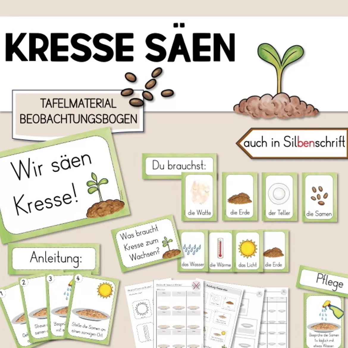 Bild in der Beschreibung des Unterrichtsmaterials Kresse säen - Kresse pflanzen (Beobachtungsbogen & Tafelmaterial) von FreuleinBerg #5