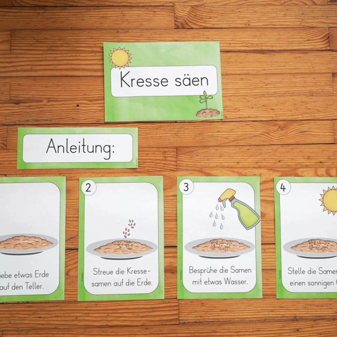 Bild in der Beschreibung des Unterrichtsmaterials Kresse säen - Kresse pflanzen (Beobachtungsbogen & Tafelmaterial) von FreuleinBerg #3
