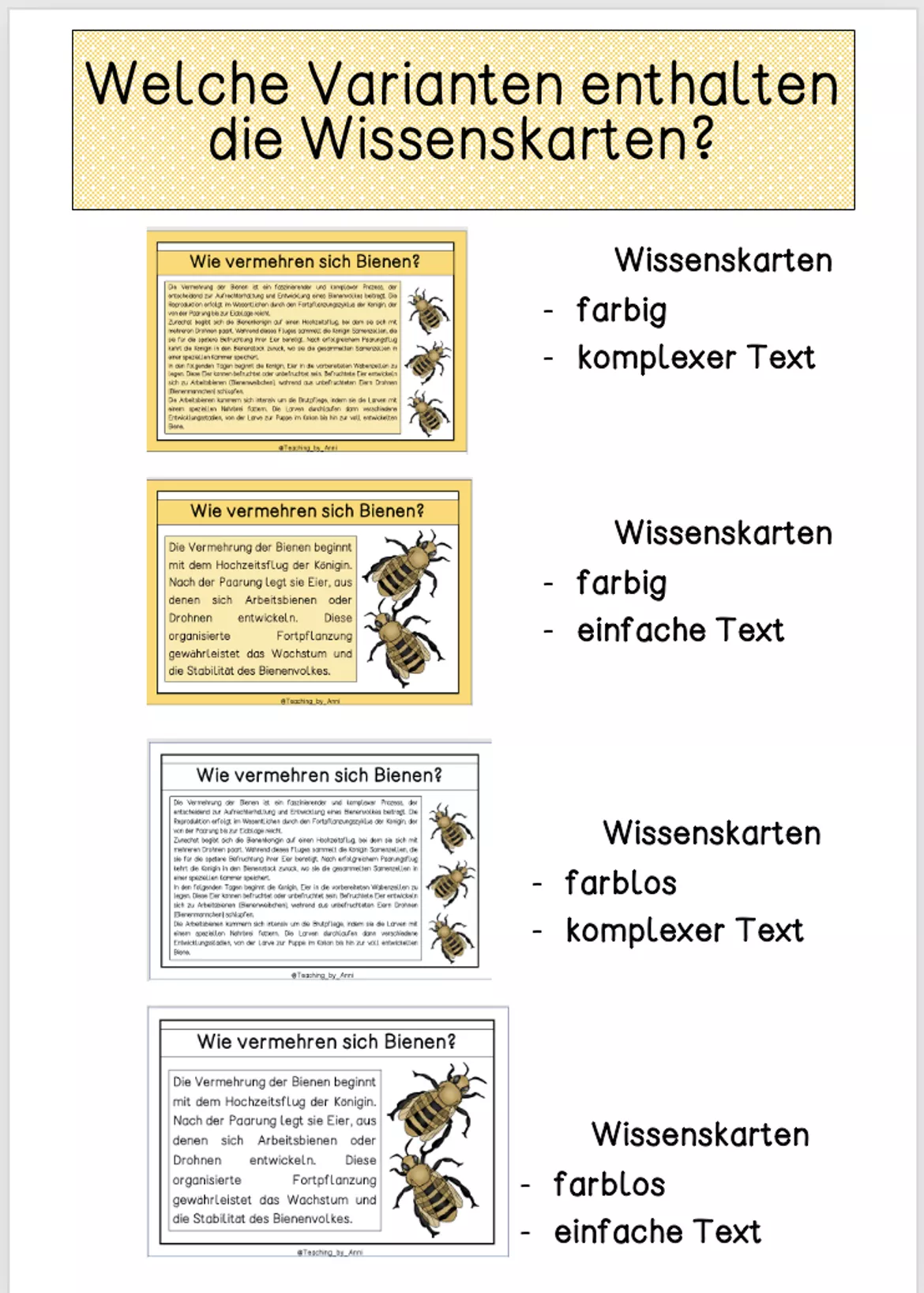Bild in der Beschreibung des Unterrichtsmaterials Differenzierte Wissenskarten - Lebenszyklus der Biene von Teaching_by_Anni #1