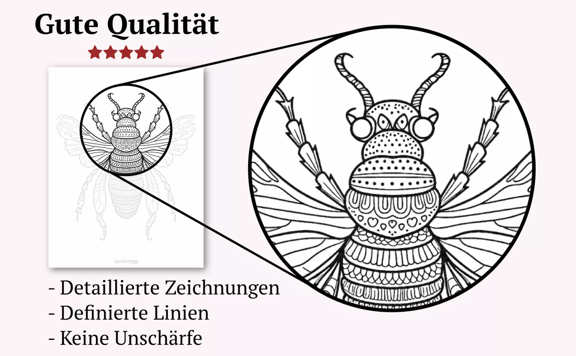 Bild in der Beschreibung des Unterrichtsmaterials Insekten & Käfer ❂ Ausmalbilder (54 Malvorlagen) - Malbuch von colorinq #4