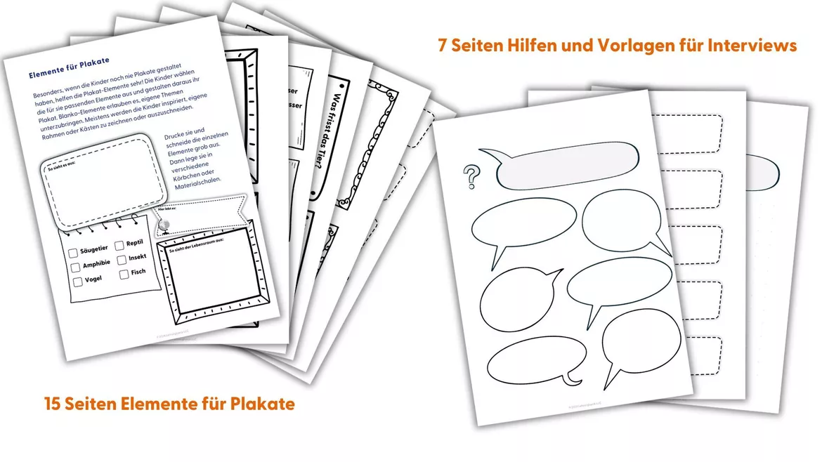 Bild in der Beschreibung des Unterrichtsmaterials Forschendes Lernen | Unterrichtseinheit Tiere (Klasse 1-4) von Lehrerglück #4