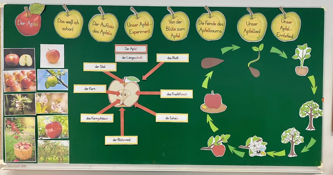 Bild in der Beschreibung des Unterrichtsmaterials Unterrichtsreihe: Der Apfel (Klasse 1+2) von Grundschulimpulse #1
