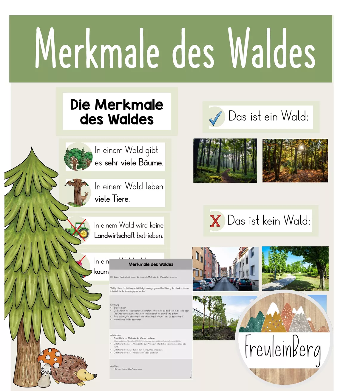 Bild in der Beschreibung des Unterrichtsmaterials Merkmale des Waldes - Tafelmaterial von FreuleinBerg #1