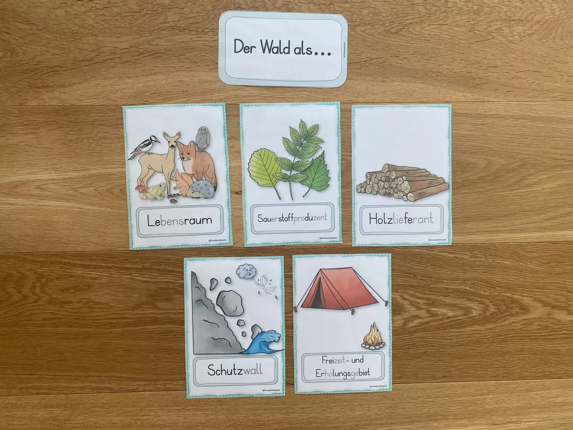 Bild in der Beschreibung des Unterrichtsmaterials Unterrichtsreihe - Der Wald (Klasse 1+2) von Grundschulimpulse #8