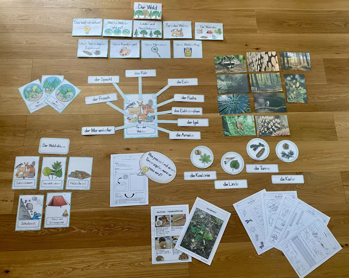Bild in der Beschreibung des Unterrichtsmaterials Unterrichtsreihe - Der Wald (Klasse 1+2) von Grundschulimpulse #1