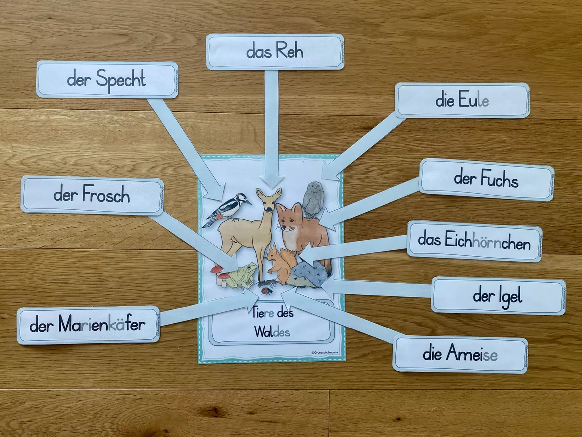 Bild in der Beschreibung des Unterrichtsmaterials Unterrichtsreihe - Der Wald (Klasse 1+2) von Grundschulimpulse #7