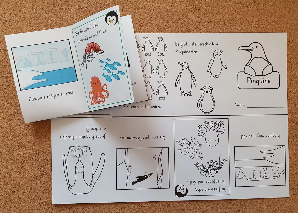 Bild in der Beschreibung des Unterrichtsmaterials Mini-Book: Pinguine von Lernzaubern #1