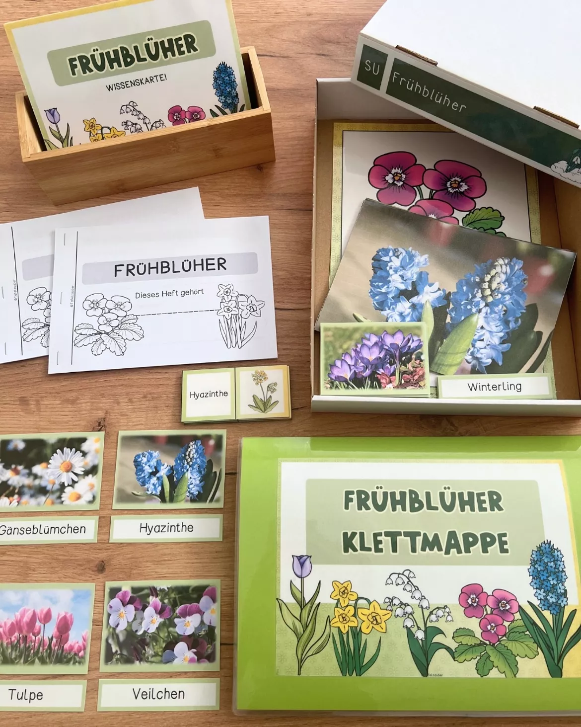 Bild in der Beschreibung des Unterrichtsmaterials Megapaket Frühblüher von Tafelzauber #1