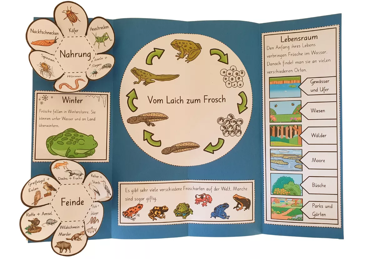 Bild in der Beschreibung des Unterrichtsmaterials Lapbook für den Kindergarten: Der Frosch von Lernzaubern #1