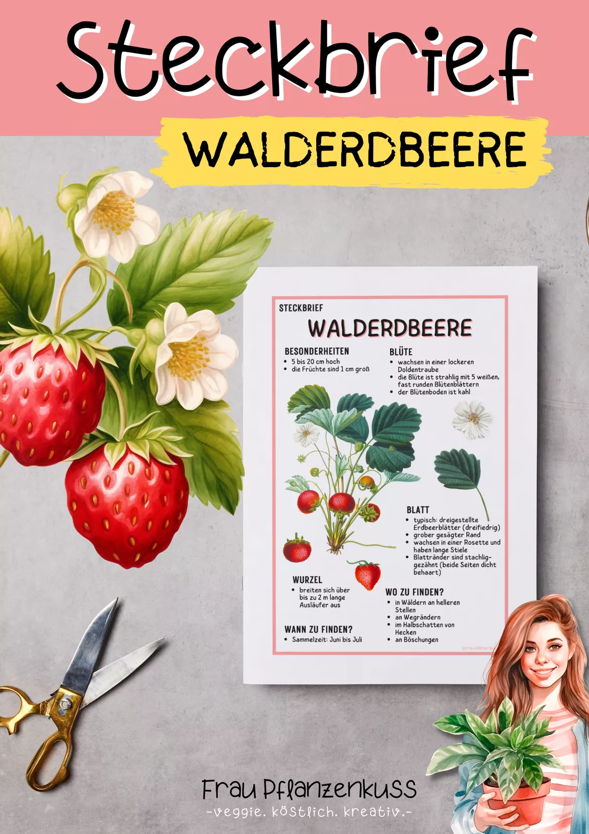 Bild in der Beschreibung des Unterrichtsmaterials Steckbrief Walderdbeere Grundschule ab 3. Klasse von Frau Pflanzenkuss #1