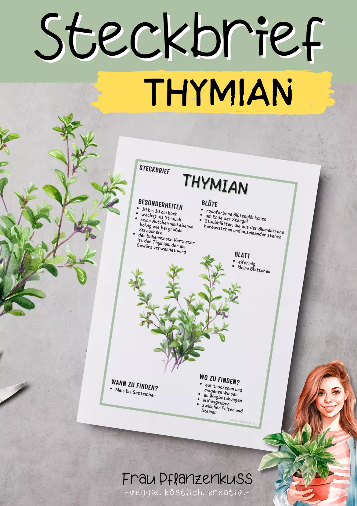 Bild in der Beschreibung des Unterrichtsmaterials Steckbrief Thymian – Arbeitsblätter ab 3. Klasse von Frau Pflanzenkuss #1