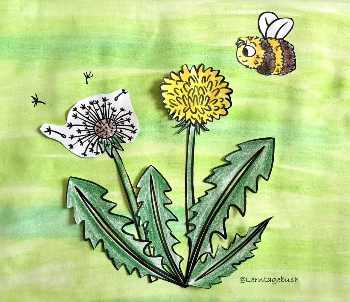 Bild in der Beschreibung des Unterrichtsmaterials Löwenzahn, Pusteblume, Bastelvorlage, Kunstunterricht, Sachunterricht Klasse 1, 2, Förderschule von LernTagebuch #1