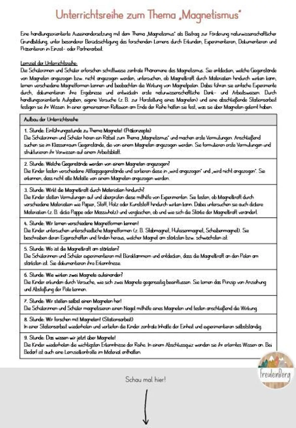 Bild in der Beschreibung des Unterrichtsmaterials 1 Reihenplanung der Unterrichtsreihe Magnetismus von FreuleinBerg #1