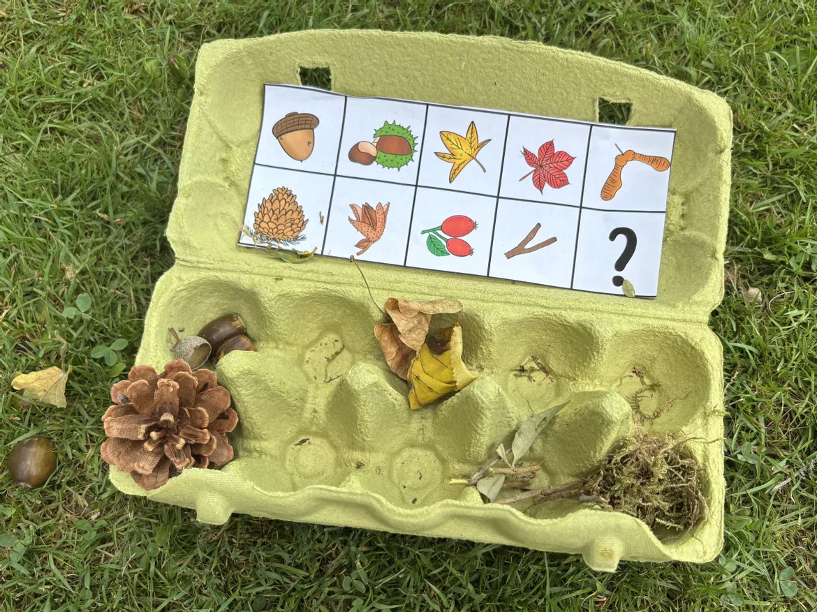 Bild in der Beschreibung des Unterrichtsmaterials Herbst Natur und Wald Schatzsuche mit Eierkarton, Sachunterricht (Naturschatzkiste) von LernTagebuch #1
