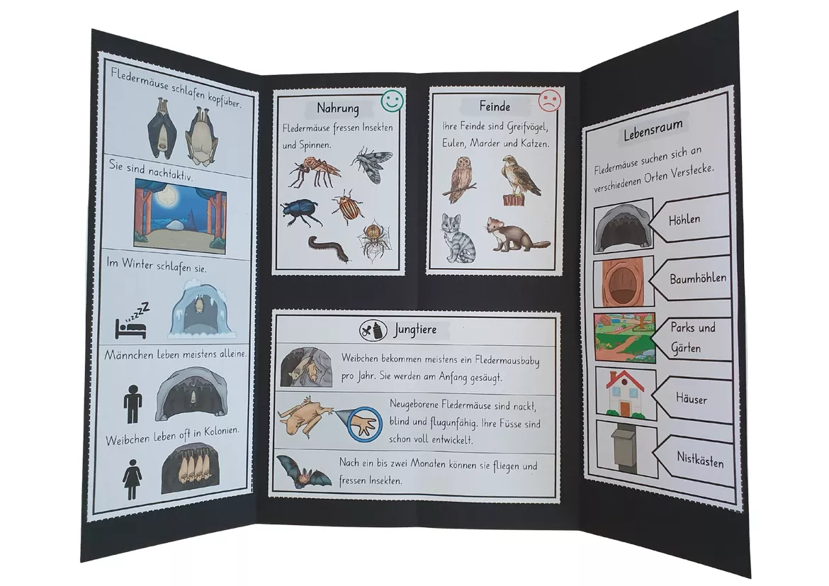Bild in der Beschreibung des Unterrichtsmaterials Lapbook für den Kindergarten: Die Fledermaus von Lernzaubern #1