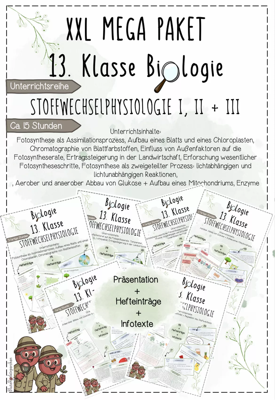 Bild in der Beschreibung des Unterrichtsmaterials Stoffwechselphysiologie I: Fotosynthese als zweigeteilter Prozess, lichtabhängige und lichtunabhängige Reaktion | Biologie 13 | 4 fertige Unterrichtsstunden | sofort einsetzbar von BluteRotkörperchen #1