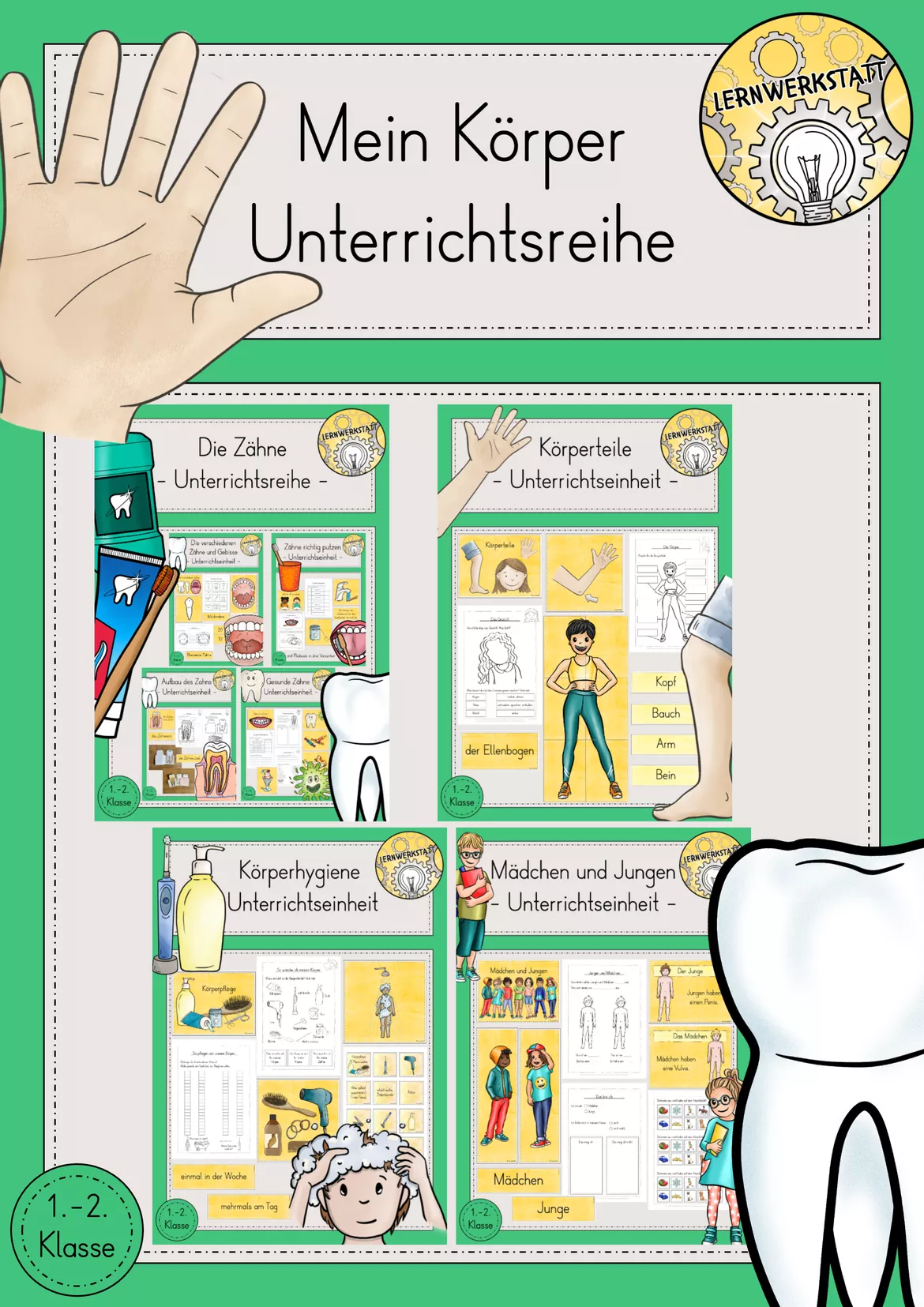 Bild in der Beschreibung des Unterrichtsmaterials Zähne Arbeitsblatt kostenlos von Lernwerkstatt - Unterrichtsmaterial für Sachunterricht, Mathe, Deutsch, Kunst und Religion #1