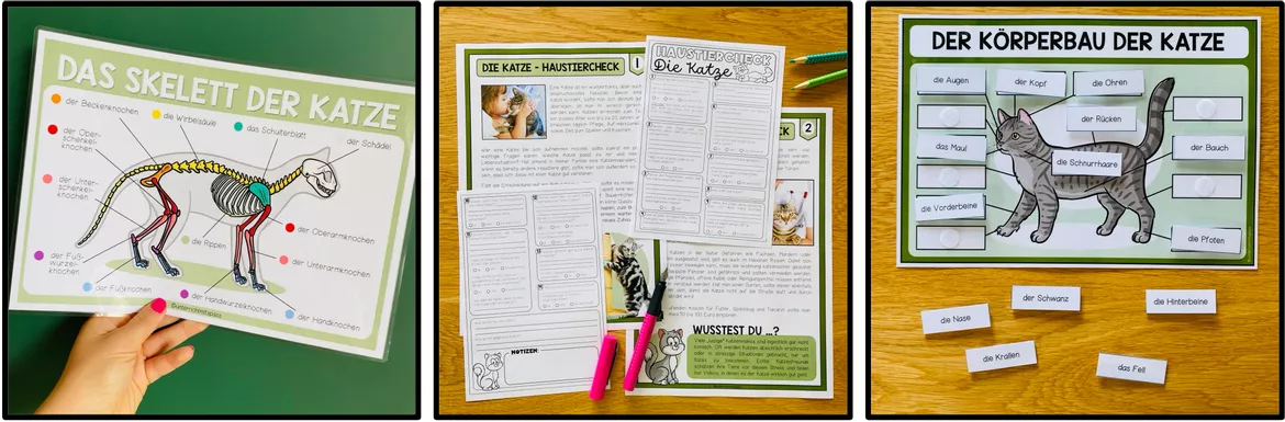 Bild in der Beschreibung des Unterrichtsmaterials DIE KATZE – Materialpaket (3.-5. Schulstufe) von Unterrichtmitspass #4