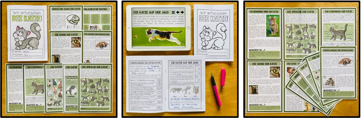 Bild in der Beschreibung des Unterrichtsmaterials DIE KATZE – Materialpaket (3.-5. Schulstufe) von Unterrichtmitspass #1