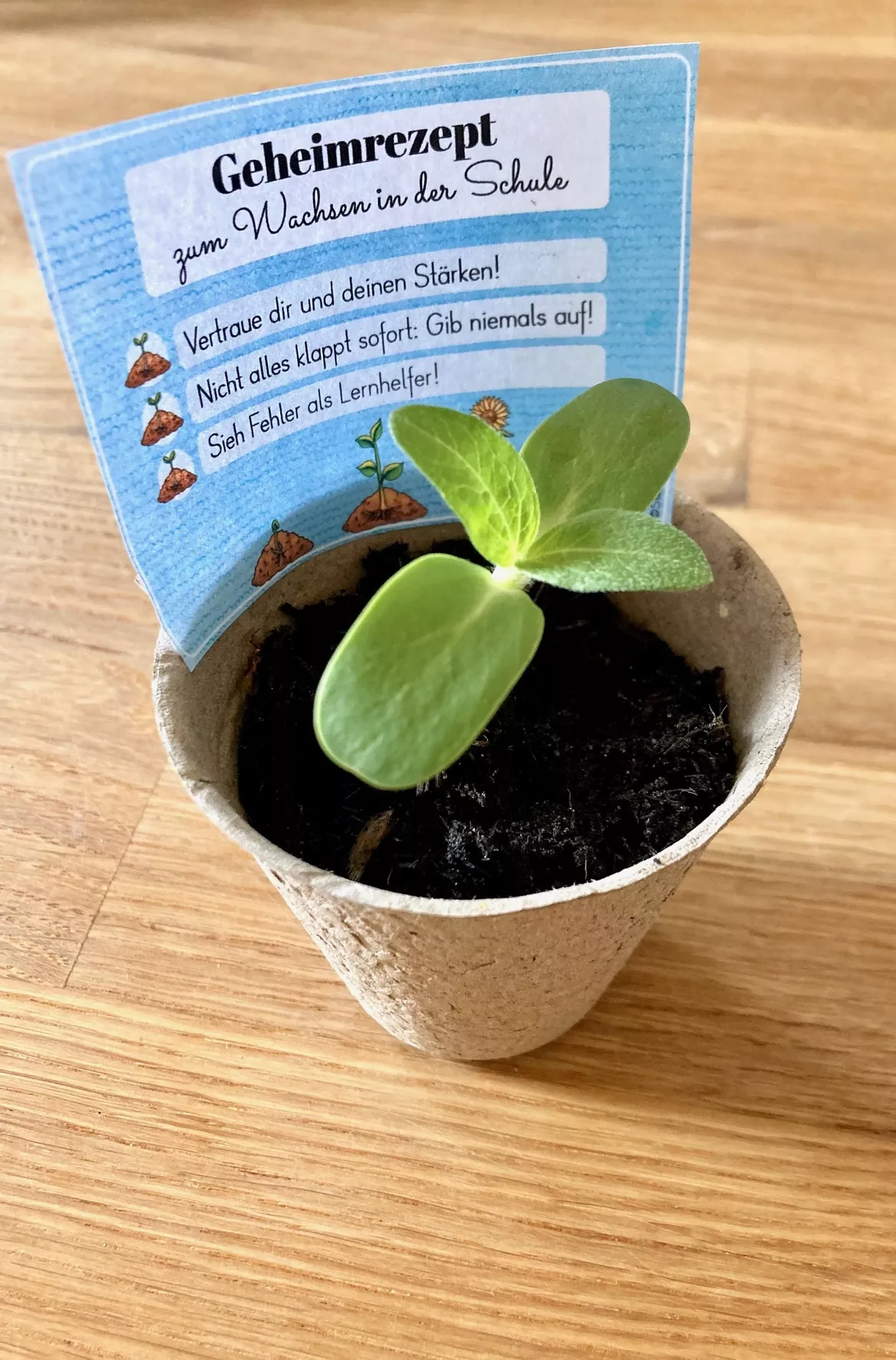 Bild in der Beschreibung des Unterrichtsmaterials Wachstumsdenken - Materialpaket Growth Mindset von Sterntaler #3