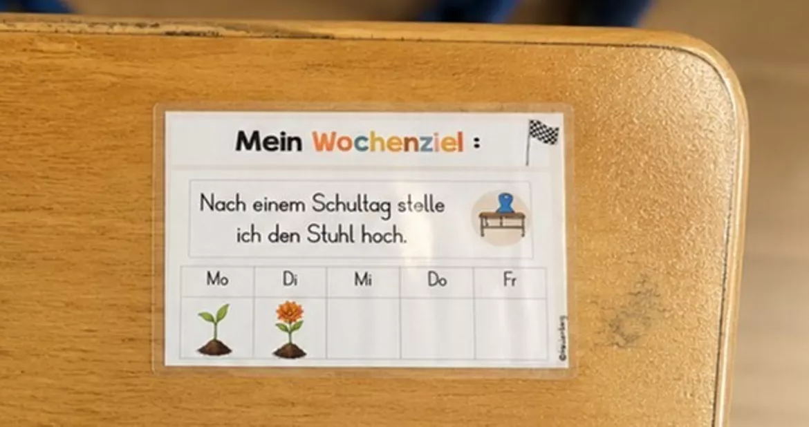 Bild in der Beschreibung des Unterrichtsmaterials Wochenziel individuell für Schüler / Schülerin von FreuleinBerg #1