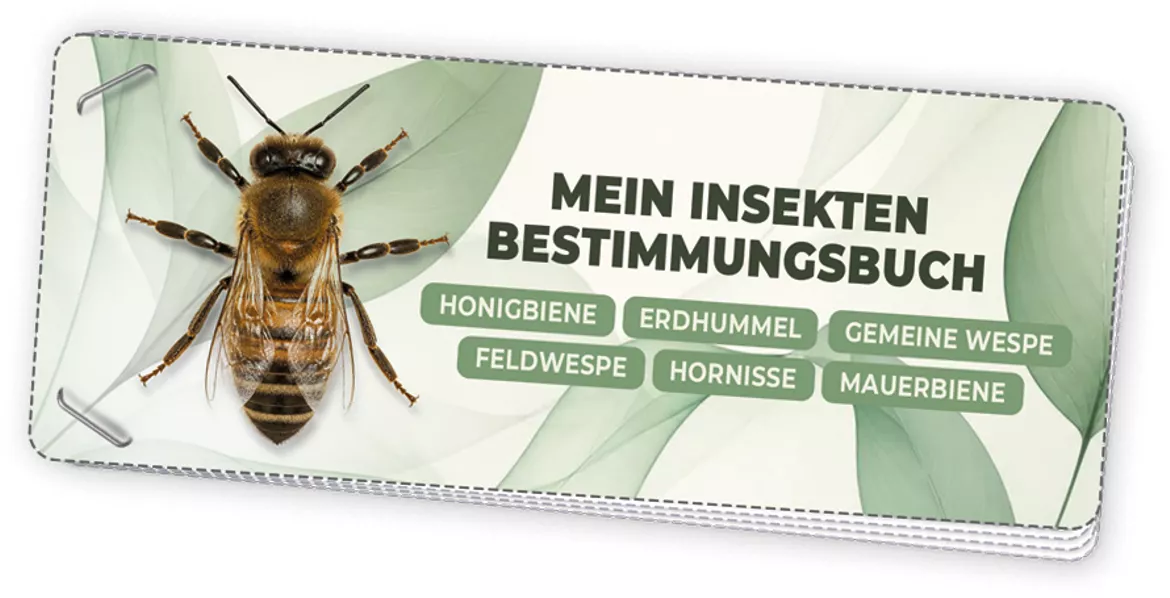 Bild in der Beschreibung des Unterrichtsmaterials Bestimmungsheft Insekten: Biene, Wespe & Co von Fischers Wissen #1