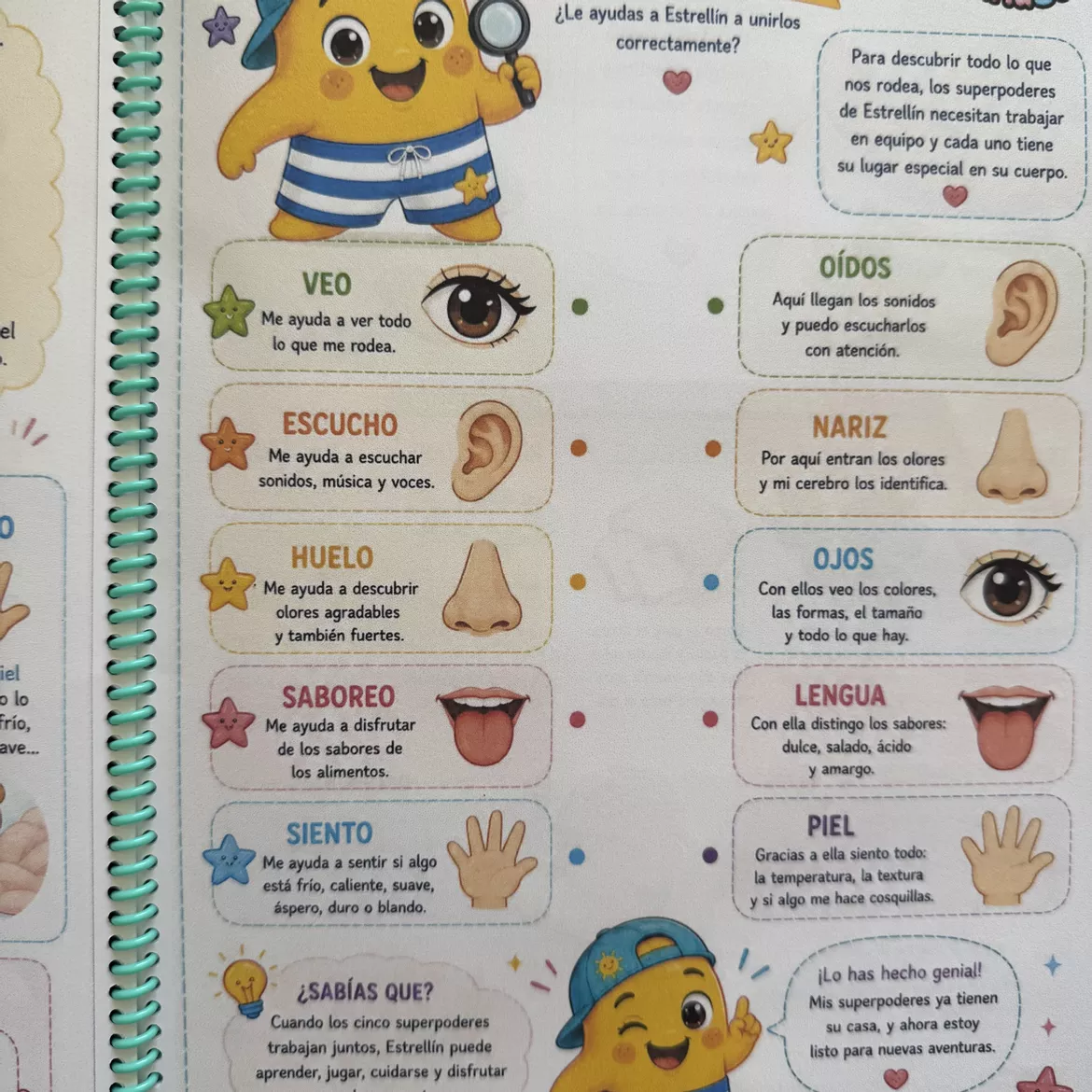 Bild in der Beschreibung des Unterrichtsmaterials EL CUERPO Y LA SALUD 1.º PRIMARIA Tema + juego + evaluación von Aprende con MariaSoto #2