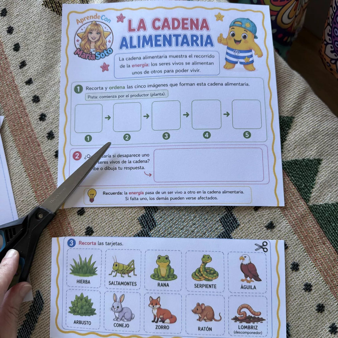 Bild in der Beschreibung des Unterrichtsmaterials Los animales. Conocimiento del Medio 3.º Primaria. Cuaderno + actividades + juego de repaso von Aprende con MariaSoto #1
