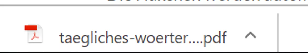Bild in der Beschreibung des Unterrichtsmaterials Tägliches Wörter- und Vokabeldiktat mit digitaler Auswertungshilfe von Stolpersteine #5