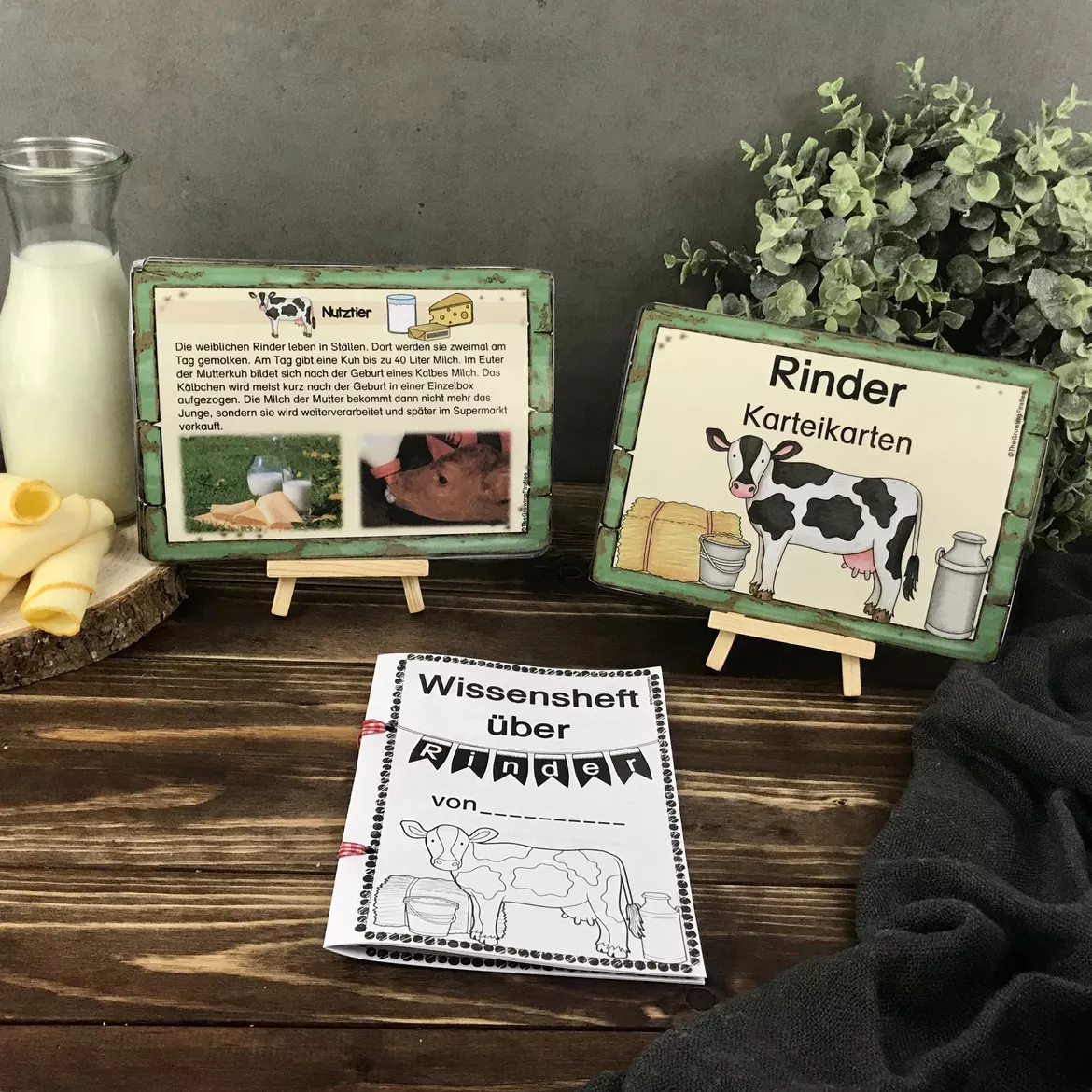 Bild in der Beschreibung des Unterrichtsmaterials Materialpaket zum Rind von The Growing Firsties #1