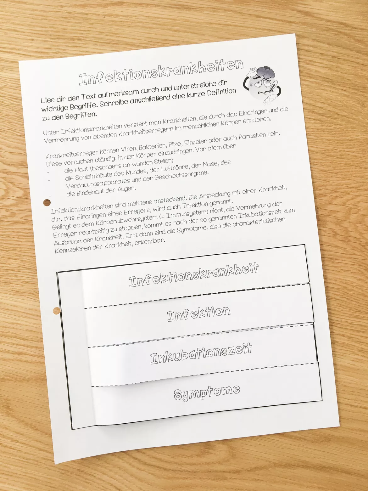 Bild in der Beschreibung des Unterrichtsmaterials Infotext und Merkheft zu den Infektionskrankheiten von Meine Materialwelt #1