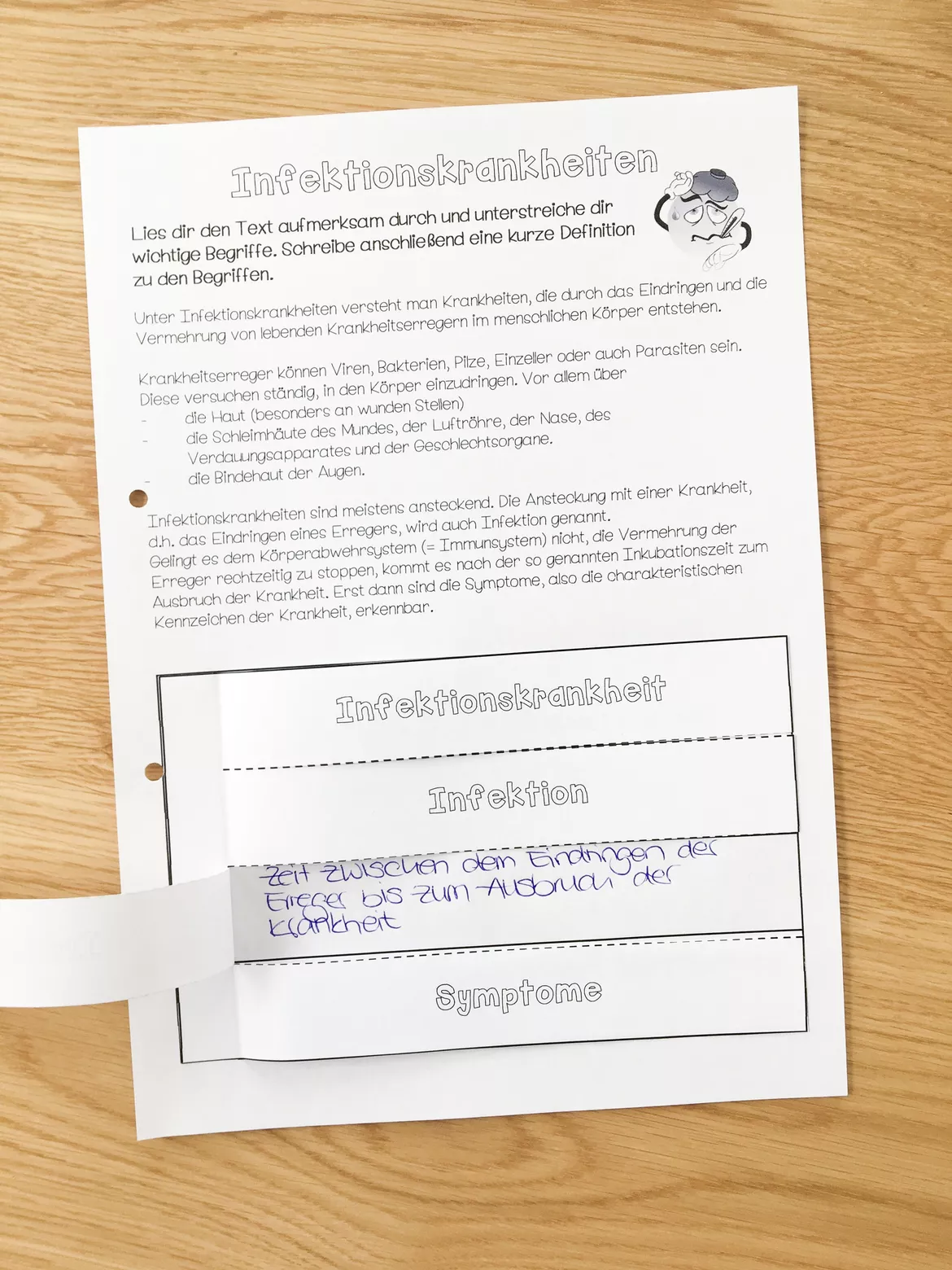 Bild in der Beschreibung des Unterrichtsmaterials Infotext und Merkheft zu den Infektionskrankheiten von Meine Materialwelt #2