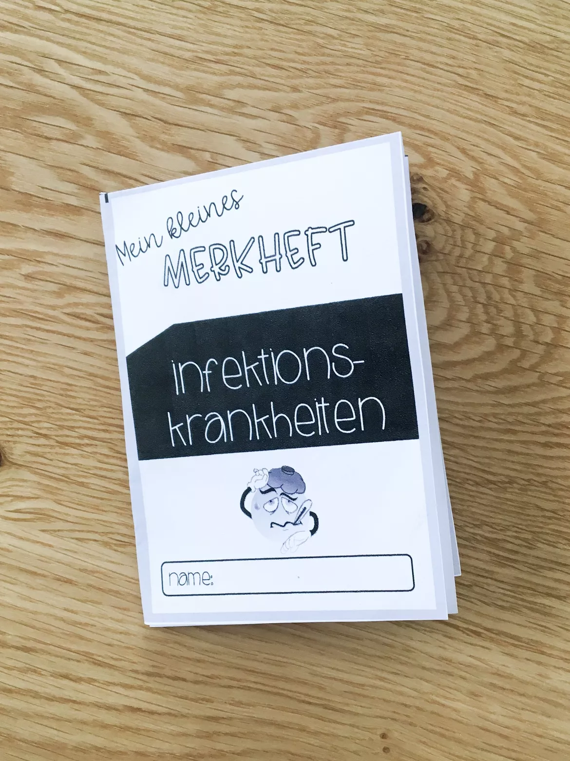 Bild in der Beschreibung des Unterrichtsmaterials Infotext und Merkheft zu den Infektionskrankheiten von Meine Materialwelt #3