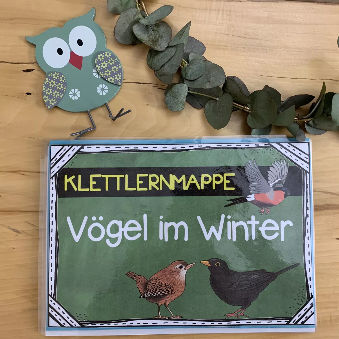 Bild in der Beschreibung des Unterrichtsmaterials Vögel im Winter - Klettlernmappe von The Growing Firsties #1
