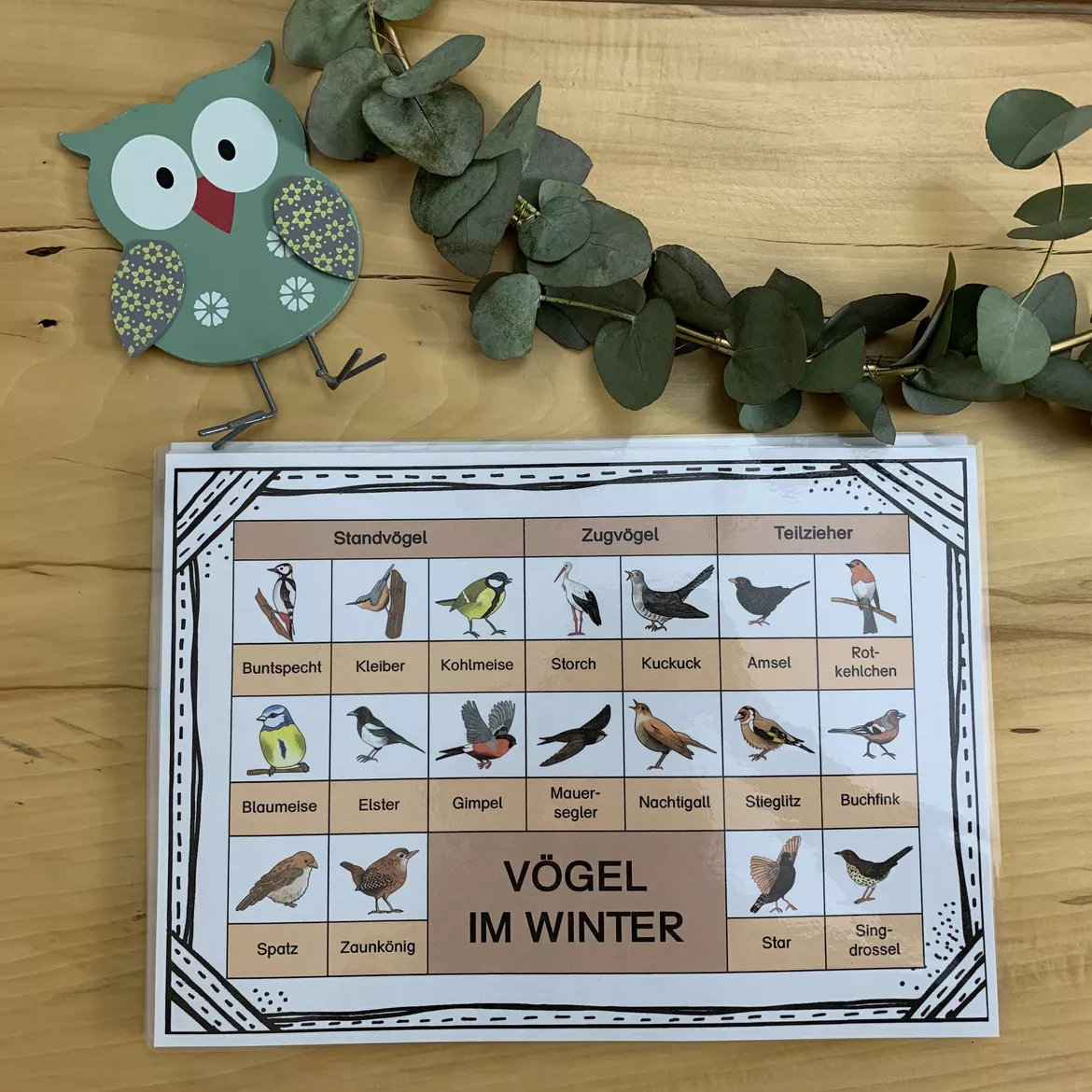 Bild in der Beschreibung des Unterrichtsmaterials Vögel im Winter - Klettlernmappe von The Growing Firsties #3