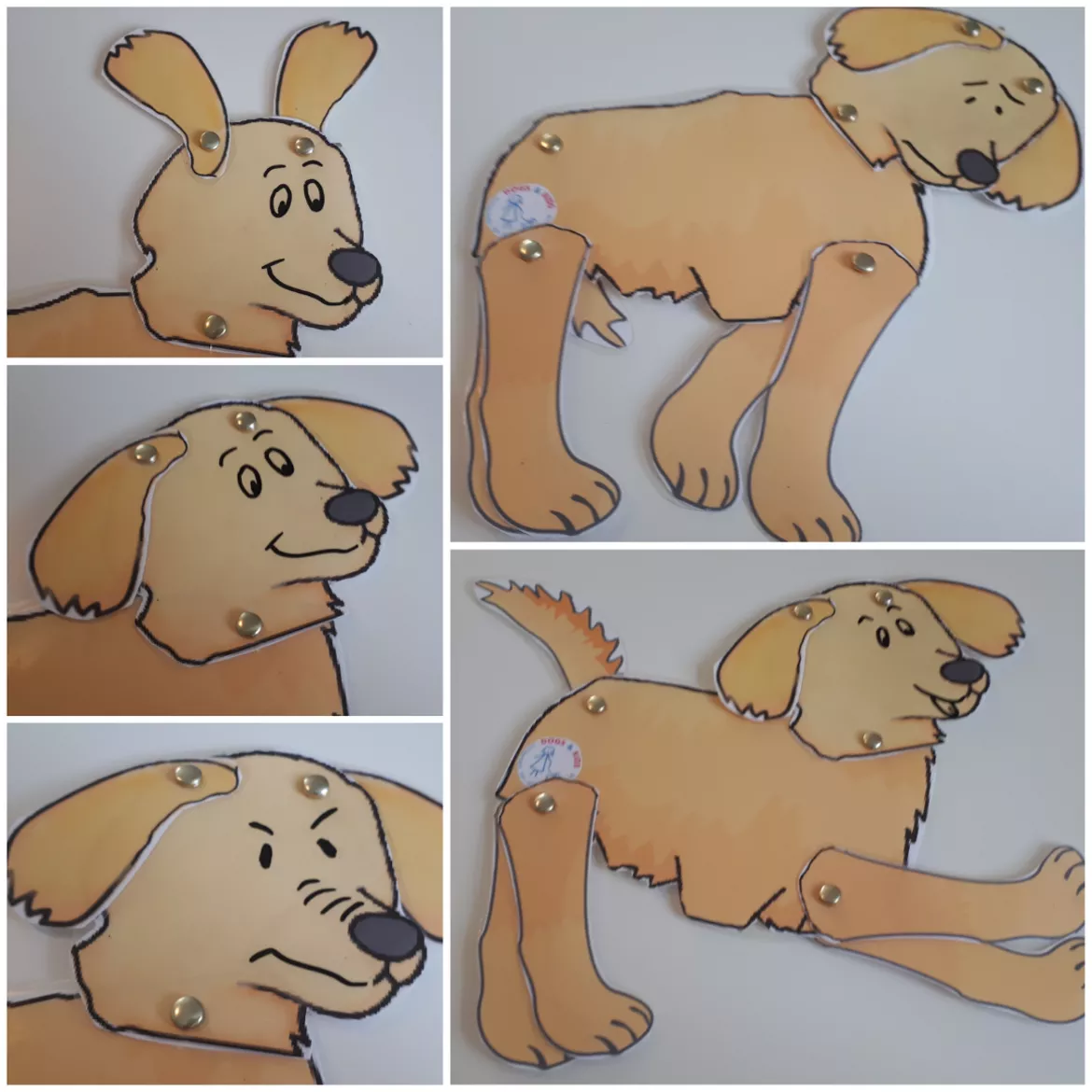 Bild in der Beschreibung des Unterrichtsmaterials Bastelvorlage: Der Körpersprachehund von DOGS & KIDS #1