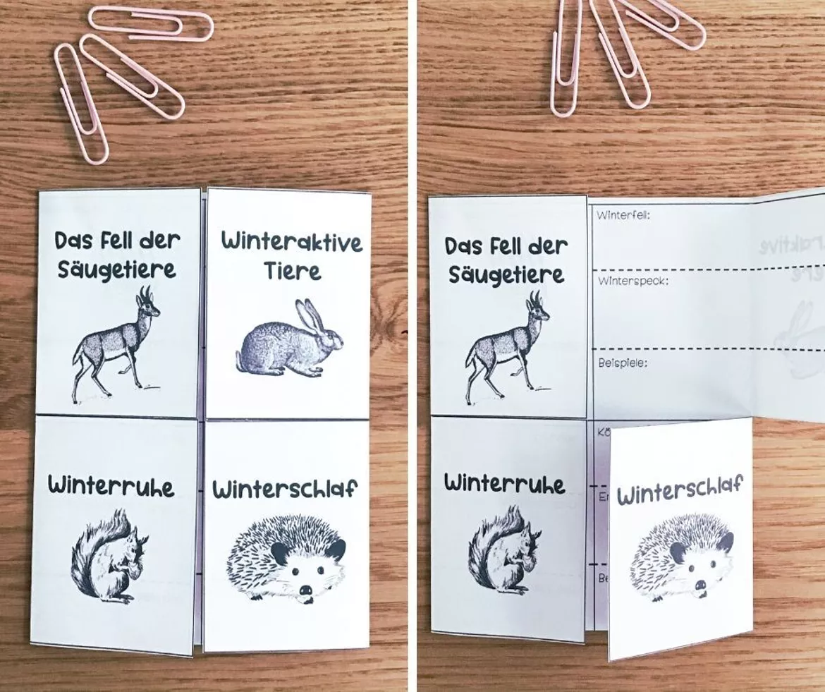 Bild in der Beschreibung des Unterrichtsmaterials Säugetiere im Winter #LMPKracher2020 von Meine Materialwelt #3
