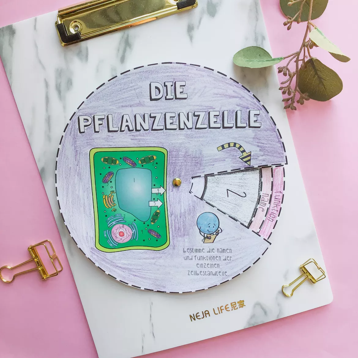 Bild in der Beschreibung des Unterrichtsmaterials Klappkreis zu den Bestandteilen der Tierzelle von Meine Materialwelt #2