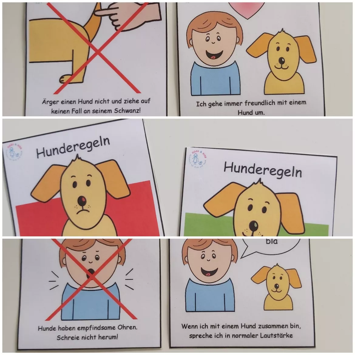 Bild in der Beschreibung des Unterrichtsmaterials Hunderegeln - Piktogramme von DOGS & KIDS #1