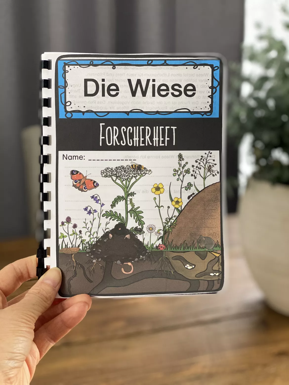 Bild in der Beschreibung des Unterrichtsmaterials Die Wiese - Forscherheft mit 31 Arbeitsblättern + Lösungen von The Growing Firsties #2