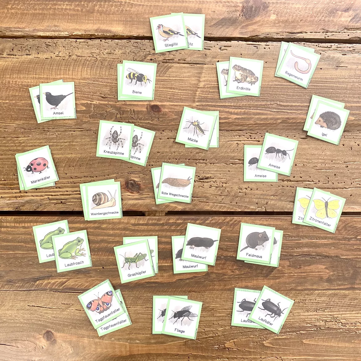 Bild in der Beschreibung des Unterrichtsmaterials Wiesentiere - "Merk es dir"-Spiel von The Growing Firsties #1