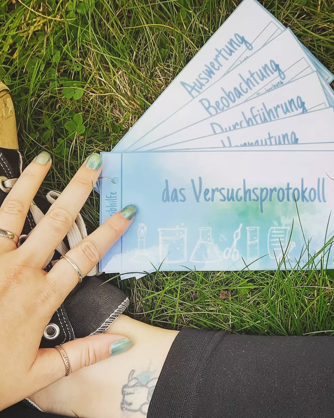 Bild in der Beschreibung des Unterrichtsmaterials Formulierungshilfen: Versuchsprotokoll von Natur.Wissen.schaffen #1